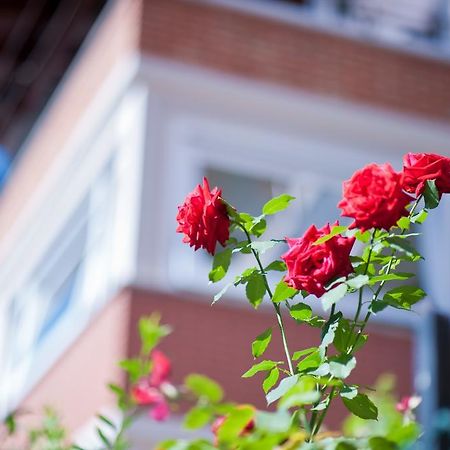 B&B Il Pettirosso Malonno Exterior photo
