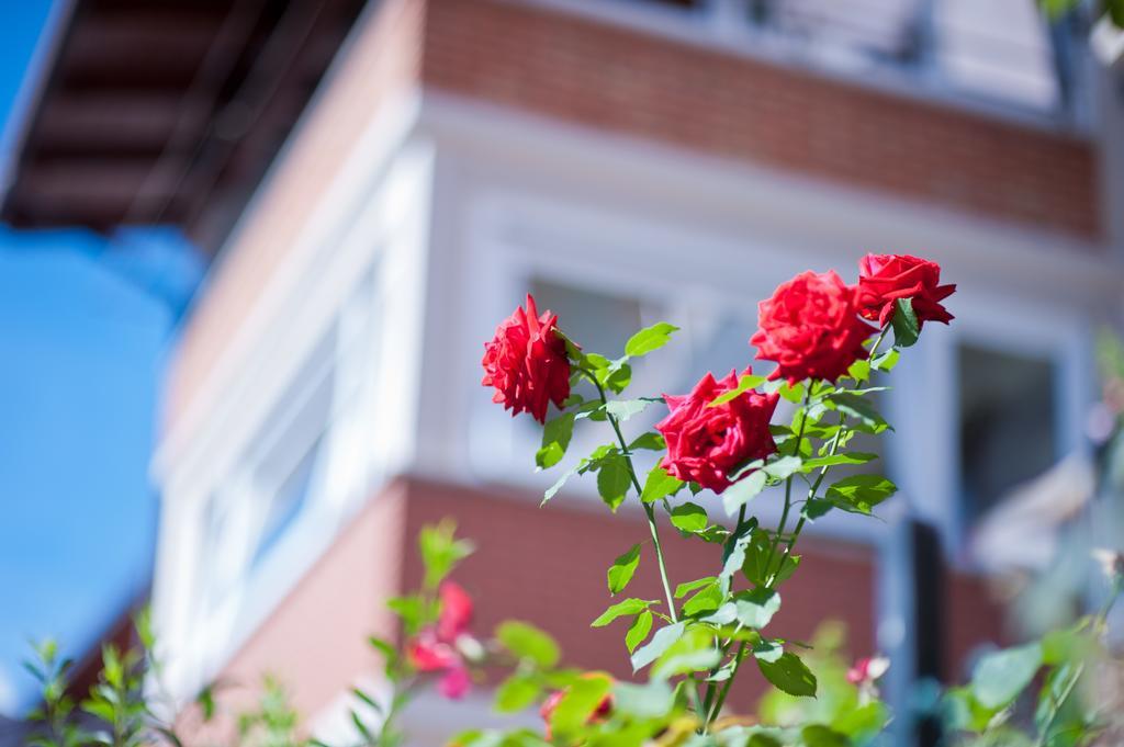 B&B Il Pettirosso Malonno Exterior photo