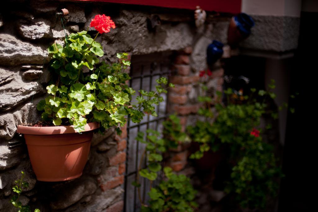 B&B Il Pettirosso Malonno Exterior photo